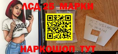 прущие грибы Кандалакша