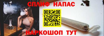 прущие грибы Кандалакша